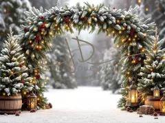 Fotopozadí - Brána v lese 25