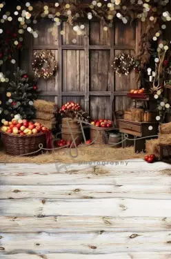 JD PHOTOGRAPHY  Fotopozadí - CHRISMAS SPOJENÉ 20