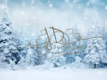 JD PHOTOGRAPHY  Fotopozadí - SNOW TREE 4