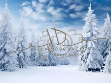 JD PHOTOGRAPHY  Fotopozadí - SNOW TREE 8