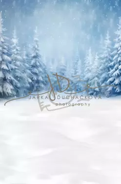 JD PHOTOGRAPHY  Fotopozadí - CHRISMAS SPOJENÉ 29