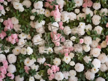 JD PHOTOGRAPHY  Fotopozadí - FLOWER 30