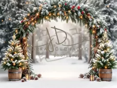 Fotopozadí - Brána v lese 26