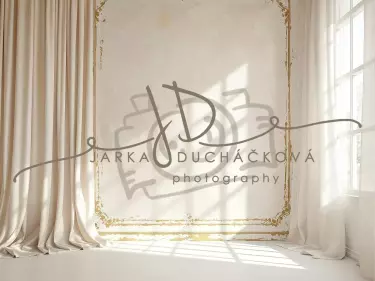 Fotopozadí - Stěna s okny 26