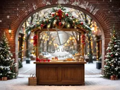 Fotopozadí - Vánoční večerní venkovní scéna 26