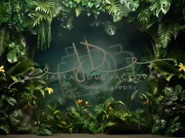 JD PHOTOGRAPHY  Fotopozadí - NATURE 3