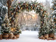 Fotopozadí - Brána v lese 28