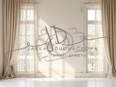 Fotopozadí - Stěna s okny 28