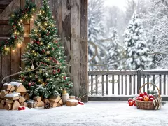 Fotopozadí - Zasněžená přírodní scéna 28