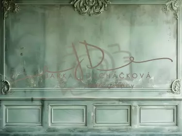 JD PHOTOGRAPHY  Fotopozadí - WALL 49