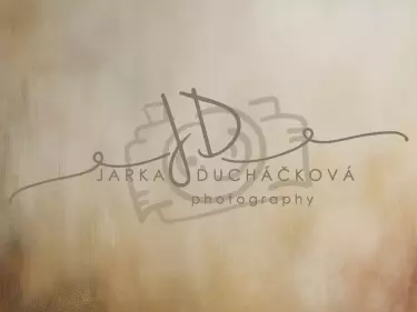 JD PHOTOGRAPHY  Fotopozadí - VINTAGE 170