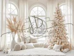 Fotopozadí - Bílá scéna zimní 29