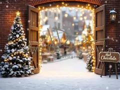 Fotopozadí - Vánoční večerní venkovní scéna 3