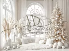 Fotopozadí - Bílá scéna zimní 30