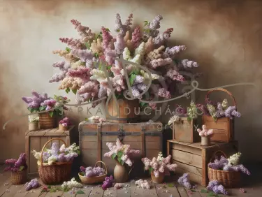 JD PHOTOGRAPHY  Fotopozadí - SPRING TIME 55