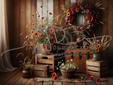 JD PHOTOGRAPHY  Fotopozadí - SUMMER 6