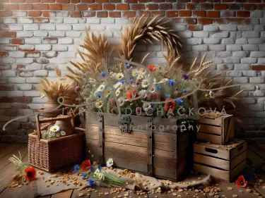 JD PHOTOGRAPHY  Fotopozadí - SUMMER 7