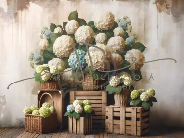 JD PHOTOGRAPHY  Fotopozadí - HORTENZIE 9