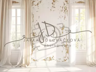 Fotopozadí - Stěna s okny 31