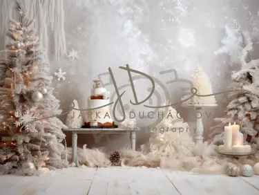 JD PHOTOGRAPHY  Fotopozadí - CHRISMAS WINTER 45