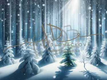JD PHOTOGRAPHY  Fotopozadí - SNOW TREE 13