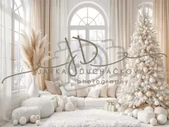 Fotopozadí - Bílá scéna zimní 33