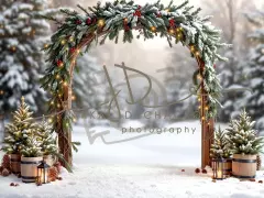 Fotopozadí - Brána v lese 33