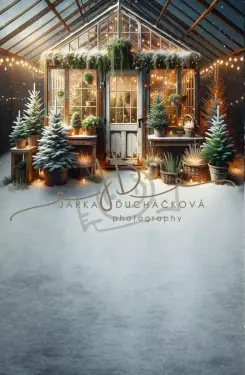 JD PHOTOGRAPHY  Fotopozadí - CHRISMAS SPOJENÉ 49