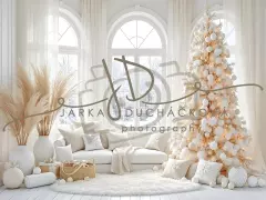 Fotopozadí - Bílá scéna zimní 34