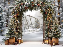 Fotopozadí - Brána v lese 34