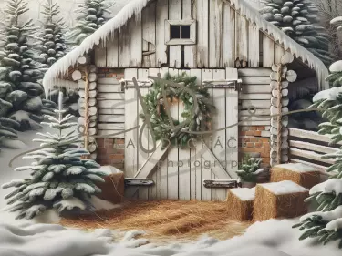 JD PHOTOGRAPHY  Fotopozadí - COUNTRY CHRISTMAS 37