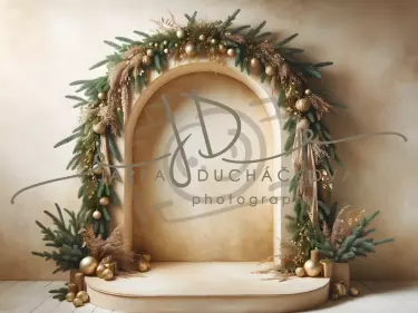 JD PHOTOGRAPHY  Fotopozadí - GOLDEN CHRISTMAS 36