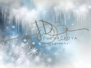 JD PHOTOGRAPHY  Fotopozadí - BLUE FROST 17