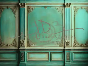 JD PHOTOGRAPHY  Fotopozadí - WALL 102