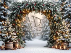 Fotopozadí - Brána v lese 36