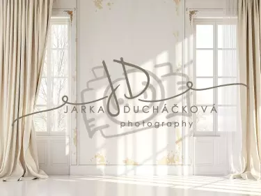 Fotopozadí - Stěna s okny 37