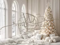 Fotopozadí - Bílá scéna zimní 39