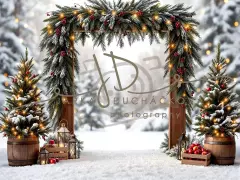 Fotopozadí - Brána v lese 39