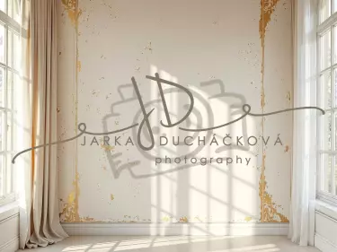 Fotopozadí - Stěna s okny 4