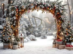 Fotopozadí - Brána v lese 40