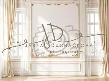 Fotopozadí - Stěna s okny 40