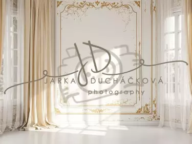 Fotopozadí - Stěna s okny 42