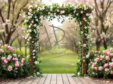 Fotopozadí - Jarní brána 5