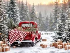 Fotopozadí - WINTER CAR 5
