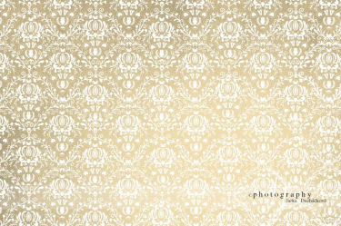 JD PHOTOGRAPHY  Foto pozadí - damašek 1 zlatý