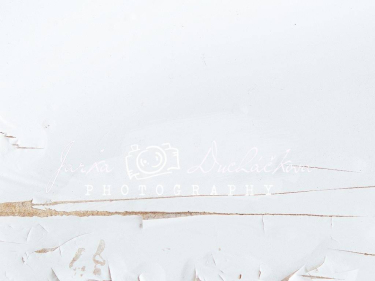 JD PHOTOGRAPHY  Fotopozadí - POPRASKANINA 4