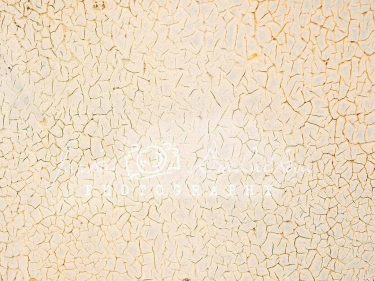 JD PHOTOGRAPHY  Fotopozadí - POPRASKANINA 3