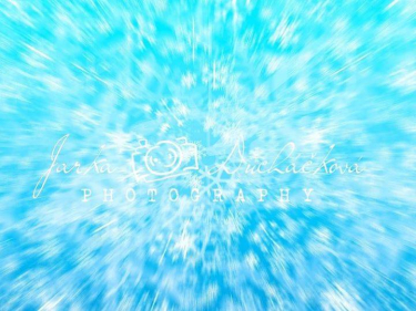 JD PHOTOGRAPHY  Fotopozadí - ZIMA 48