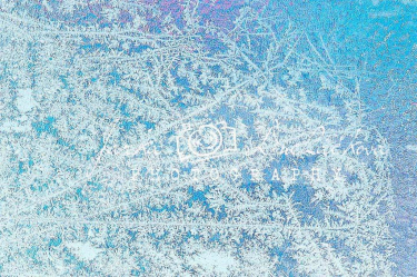 JD PHOTOGRAPHY  Fotopozadí - JINOVATKA 10