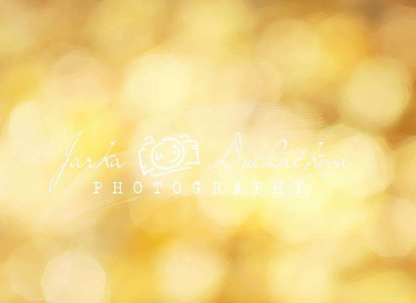 JD PHOTOGRAPHY  Fotopozadí - VÁNOCE ZLATÉ 3